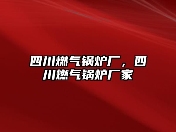 四川燃氣鍋爐廠，四川燃氣鍋爐廠家