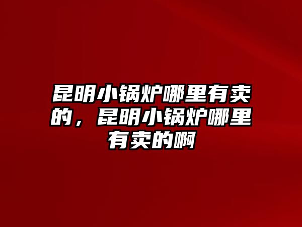 昆明小鍋爐哪里有賣的，昆明小鍋爐哪里有賣的啊