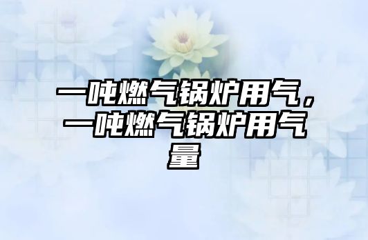 一噸燃?xì)忮仩t用氣，一噸燃?xì)忮仩t用氣量