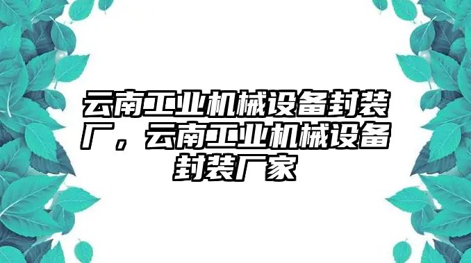 云南工業(yè)機械設備封裝廠，云南工業(yè)機械設備封裝廠家