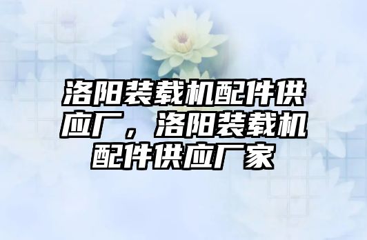 洛陽裝載機配件供應(yīng)廠，洛陽裝載機配件供應(yīng)廠家