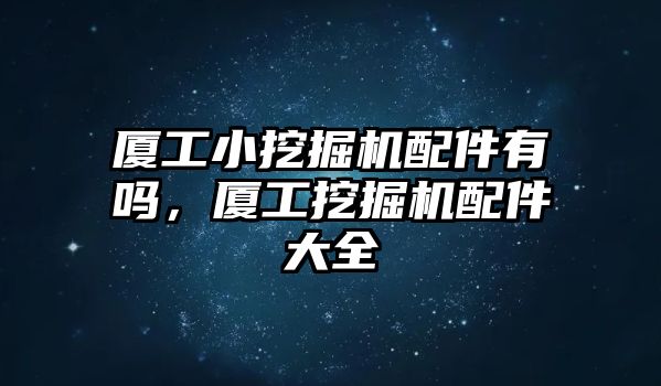 廈工小挖掘機(jī)配件有嗎，廈工挖掘機(jī)配件大全