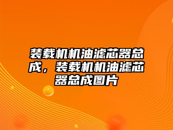 裝載機(jī)機(jī)油濾芯器總成，裝載機(jī)機(jī)油濾芯器總成圖片