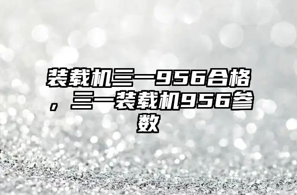 裝載機三一956合格佂，三一裝載機956參數(shù)