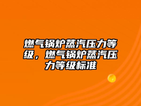 燃?xì)忮仩t蒸汽壓力等級，燃?xì)忮仩t蒸汽壓力等級標(biāo)準(zhǔn)