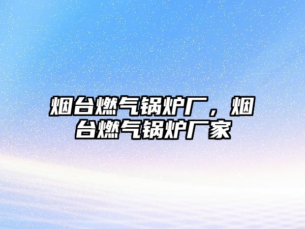 煙臺燃?xì)忮仩t廠，煙臺燃?xì)忮仩t廠家