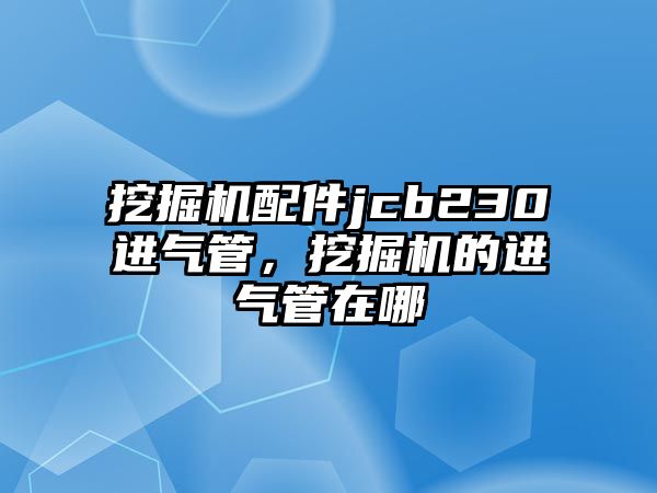 挖掘機配件jcb230進氣管，挖掘機的進氣管在哪