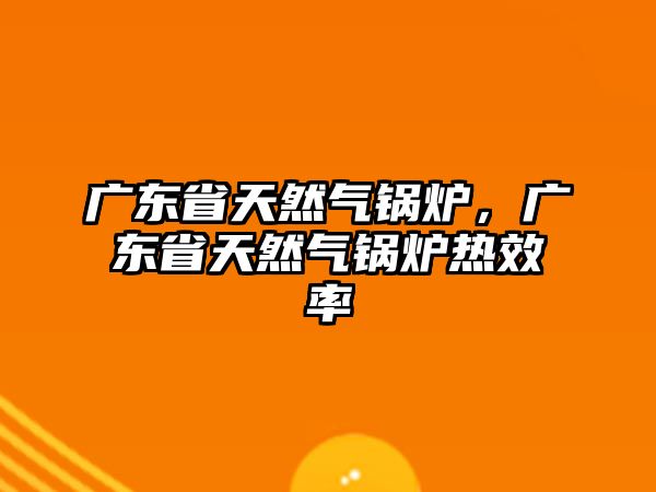 廣東省天然氣鍋爐，廣東省天然氣鍋爐熱效率