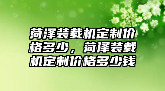 菏澤裝載機定制價格多少，菏澤裝載機定制價格多少錢