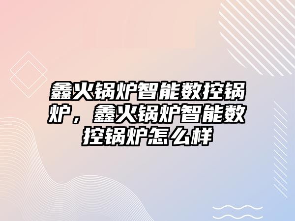 鑫火鍋爐智能數(shù)控鍋爐，鑫火鍋爐智能數(shù)控鍋爐怎么樣