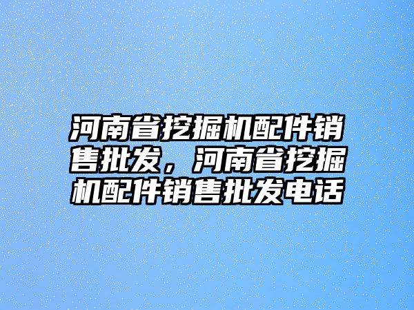 河南省挖掘機(jī)配件銷售批發(fā)，河南省挖掘機(jī)配件銷售批發(fā)電話