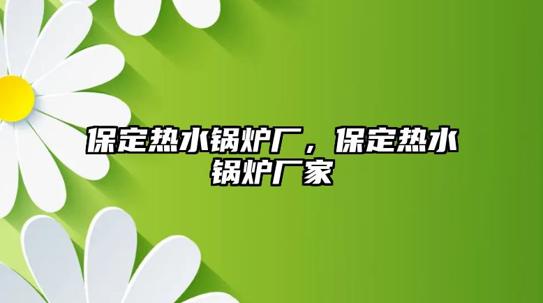 保定熱水鍋爐廠，保定熱水鍋爐廠家