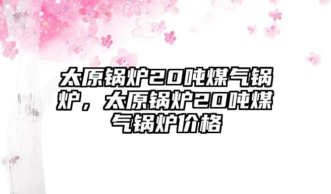 太原鍋爐20噸煤氣鍋爐，太原鍋爐20噸煤氣鍋爐價格