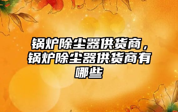 鍋爐除塵器供貨商，鍋爐除塵器供貨商有哪些