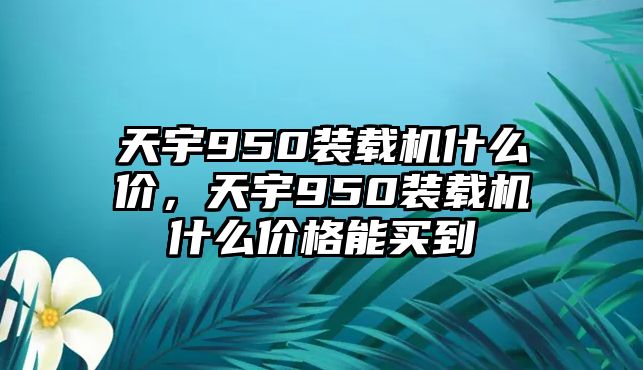 天宇950裝載機什么價，天宇950裝載機什么價格能買到