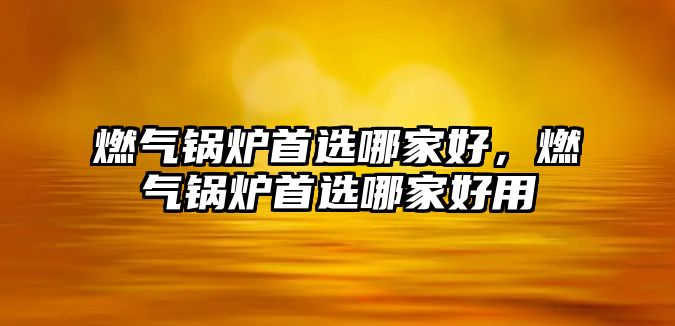 燃氣鍋爐首選哪家好，燃氣鍋爐首選哪家好用