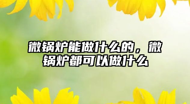 微鍋爐能做什么的，微鍋爐都可以做什么