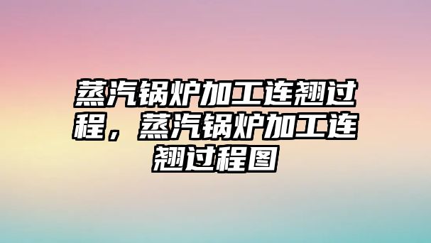 蒸汽鍋爐加工連翹過程，蒸汽鍋爐加工連翹過程圖