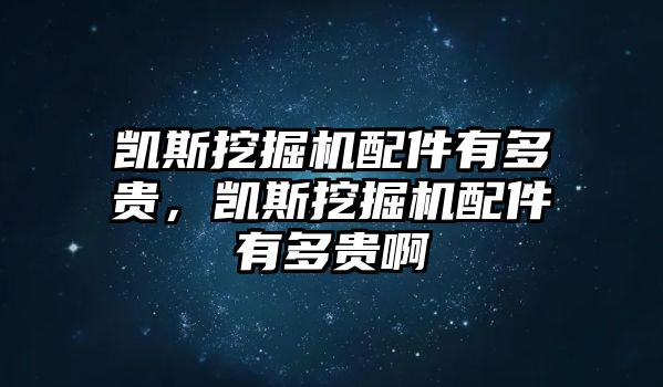 凱斯挖掘機配件有多貴，凱斯挖掘機配件有多貴啊