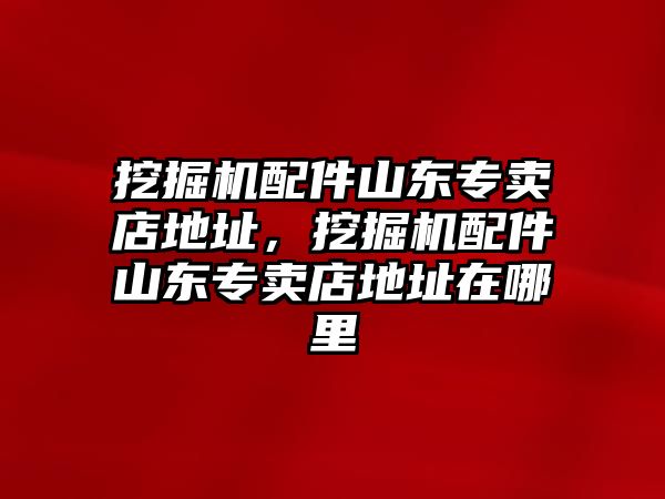 挖掘機(jī)配件山東專賣店地址，挖掘機(jī)配件山東專賣店地址在哪里