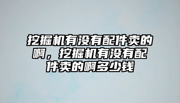 挖掘機(jī)有沒有配件賣的啊，挖掘機(jī)有沒有配件賣的啊多少錢