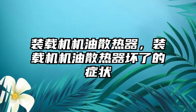 裝載機(jī)機(jī)油散熱器，裝載機(jī)機(jī)油散熱器壞了的癥狀