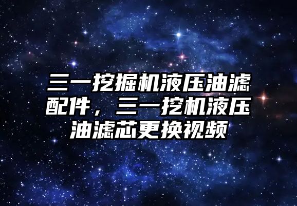 三一挖掘機(jī)液壓油濾配件，三一挖機(jī)液壓油濾芯更換視頻