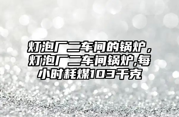 燈泡廠二車間的鍋爐，燈泡廠二車間鍋爐,每小時(shí)耗煤103千克