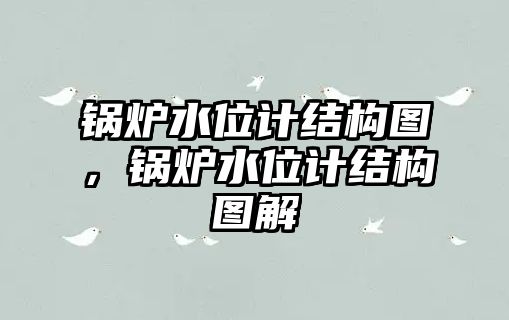 鍋爐水位計結(jié)構(gòu)圖，鍋爐水位計結(jié)構(gòu)圖解