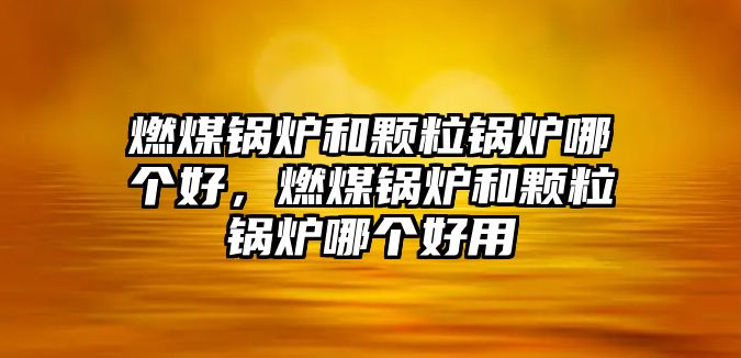 燃煤鍋爐和顆粒鍋爐哪個好，燃煤鍋爐和顆粒鍋爐哪個好用