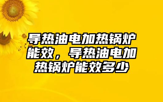 導熱油電加熱鍋爐能效，導熱油電加熱鍋爐能效多少