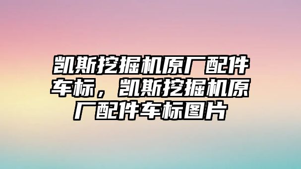 凱斯挖掘機(jī)原廠配件車標(biāo)，凱斯挖掘機(jī)原廠配件車標(biāo)圖片