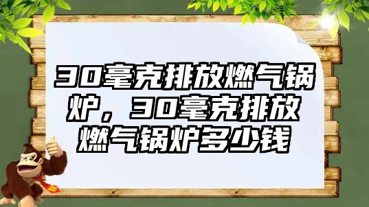 30毫克排放燃氣鍋爐，30毫克排放燃氣鍋爐多少錢