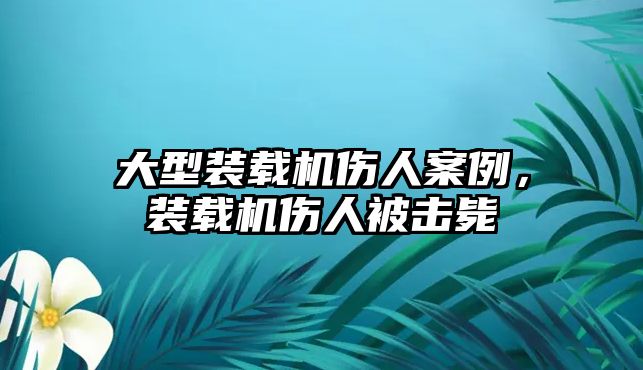 大型裝載機傷人案例，裝載機傷人被擊斃