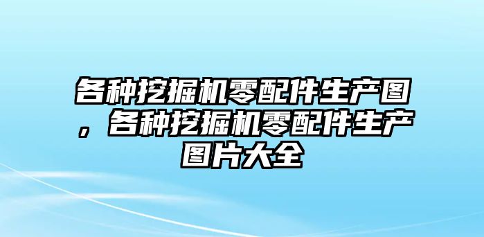 各種挖掘機(jī)零配件生產(chǎn)圖，各種挖掘機(jī)零配件生產(chǎn)圖片大全