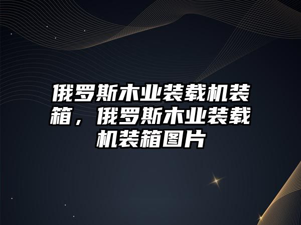 俄羅斯木業(yè)裝載機裝箱，俄羅斯木業(yè)裝載機裝箱圖片