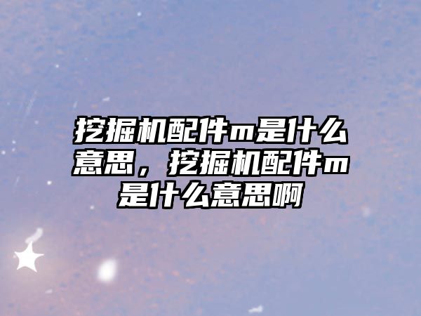 挖掘機配件m是什么意思，挖掘機配件m是什么意思啊