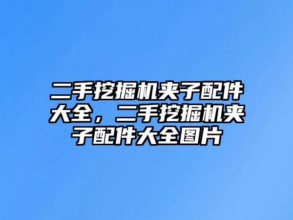 二手挖掘機夾子配件大全，二手挖掘機夾子配件大全圖片