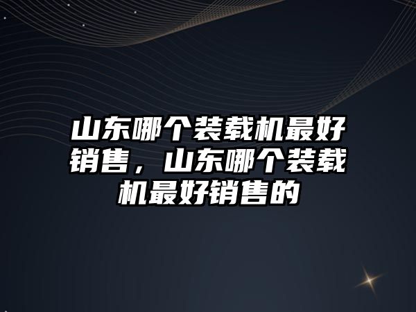 山東哪個裝載機最好銷售，山東哪個裝載機最好銷售的