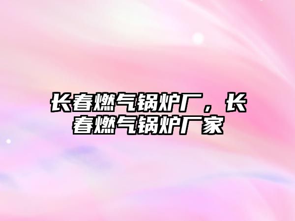 長春燃?xì)忮仩t廠，長春燃?xì)忮仩t廠家