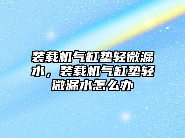 裝載機氣缸墊輕微漏水，裝載機氣缸墊輕微漏水怎么辦