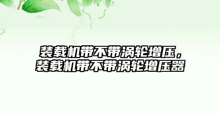 裝載機(jī)帶不帶渦輪增壓，裝載機(jī)帶不帶渦輪增壓器