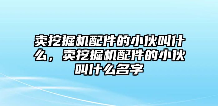 賣挖掘機配件的小伙叫什么，賣挖掘機配件的小伙叫什么名字