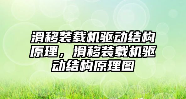 滑移裝載機驅(qū)動結(jié)構(gòu)原理，滑移裝載機驅(qū)動結(jié)構(gòu)原理圖