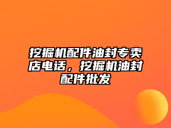 挖掘機配件油封專賣店電話，挖掘機油封配件批發(fā)