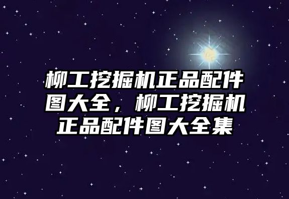 柳工挖掘機(jī)正品配件圖大全，柳工挖掘機(jī)正品配件圖大全集