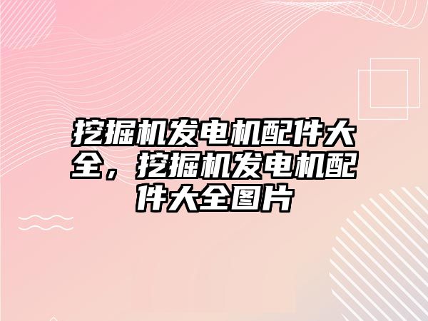 挖掘機發(fā)電機配件大全，挖掘機發(fā)電機配件大全圖片