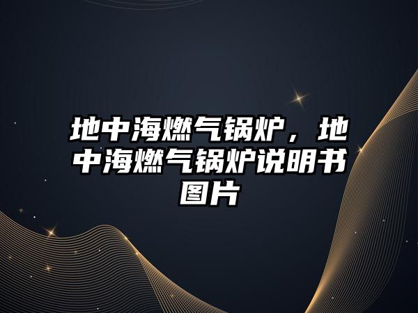 地中海燃?xì)忮仩t，地中海燃?xì)忮仩t說明書圖片