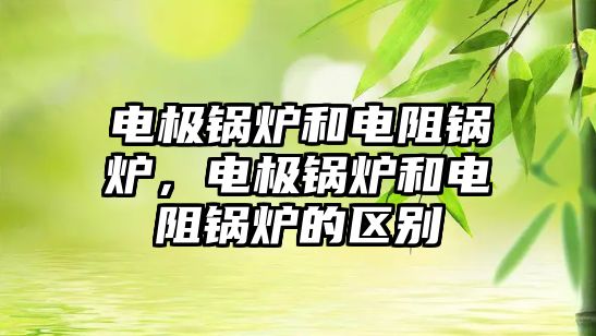 電極鍋爐和電阻鍋爐，電極鍋爐和電阻鍋爐的區(qū)別