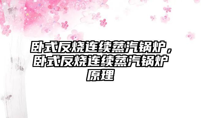 臥式反燒連續(xù)蒸汽鍋爐，臥式反燒連續(xù)蒸汽鍋爐原理